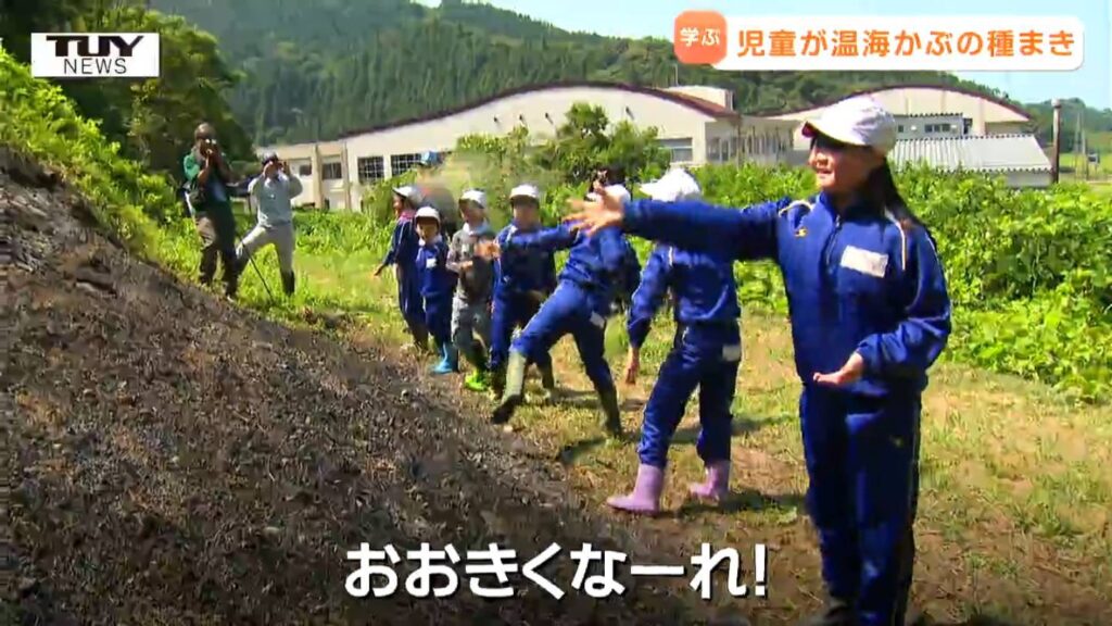 400年以上前から作られる伝統野菜! 子どもたちが "温海かぶ" について勉強し種まき（山形・鶴岡市）（テレビユー山形） - Yahoo!ニュース
