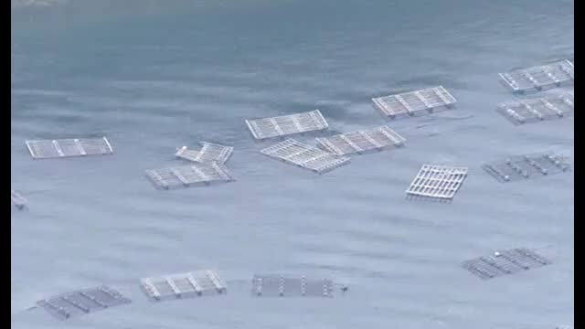 【カムチャツカ半島沖地震】津波による宮城県内の被害額が１０００万円を超える 養殖カキなど落下（仙台放送） - Yahoo!ニュース - Yahoo!ニュース