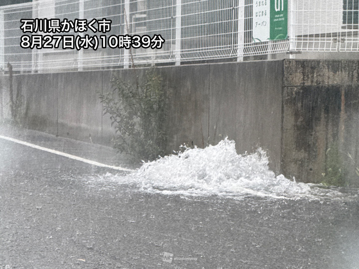 ウェザーニュース