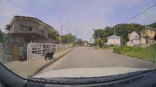 【動画あり】民家の脇から突然クマが…！青森県青森市の県道で車と衝突寸前 「まさか自分が遭遇するとは」（青森放送） - Yahoo!ニュース - Yahoo!ニュース