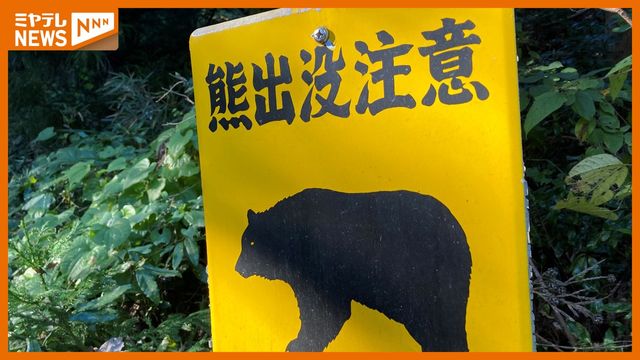 県内でクマ目撃相次ぐ・住宅街や中学校付近でも（ミヤギテレビ） - Yahoo!ニュース