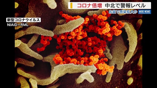 新型コロナの感染者倍増「ウイルス量は過去の流行時に匹敵」中北で警報レベル入り 山梨（YBS山梨放送） - Yahoo!ニュース