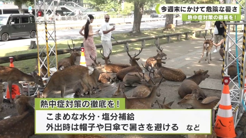 今週末にかけて危険な暑さ 熱中症対策の徹底を！（奈良テレビ放送） - Yahoo!ニュース