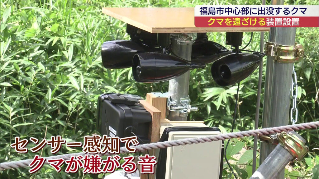 嫌がる音でクマを遠ざける 目撃相次ぐ福島市に忌避装置（福島）（KFB福島放送） - Yahoo!ニュース - Yahoo!ニュース