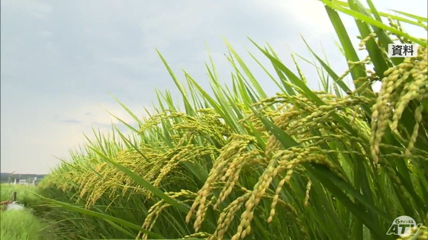 青森県は「前年並み」 農水省が今年産の主食用米の作柄概況を発表 全国で生産状況は「おおむね良好」な見込み（ＡＴＶ青森テレビ） - Yahoo!ニュース - Yahoo!ニュース