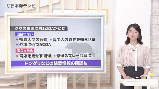 【読解】全国でクマ出没に注意 山陰での状況は？ 鳥取県の鳥獣対策課を取材（日本海テレビ） - Yahoo!ニュース - Yahoo!ニュース