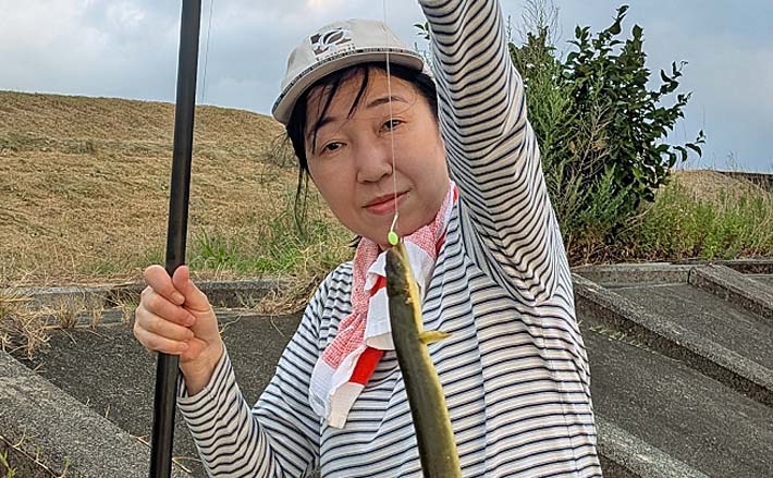 宮川の夜釣りでウナギ8匹キャッチ【三重】新鮮なアケミ貝に好反応