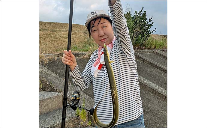宮川の夜釣りでウナギ8匹キャッチ【三重】新鮮なアケミ貝に好反応
