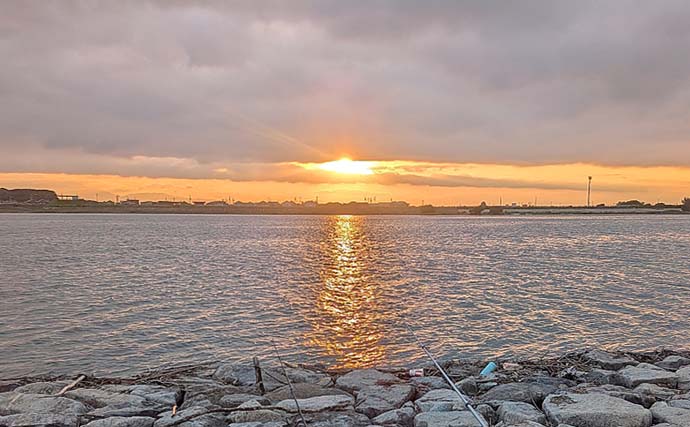 宮川の夜釣りでウナギ8匹キャッチ【三重】新鮮なアケミ貝に好反応