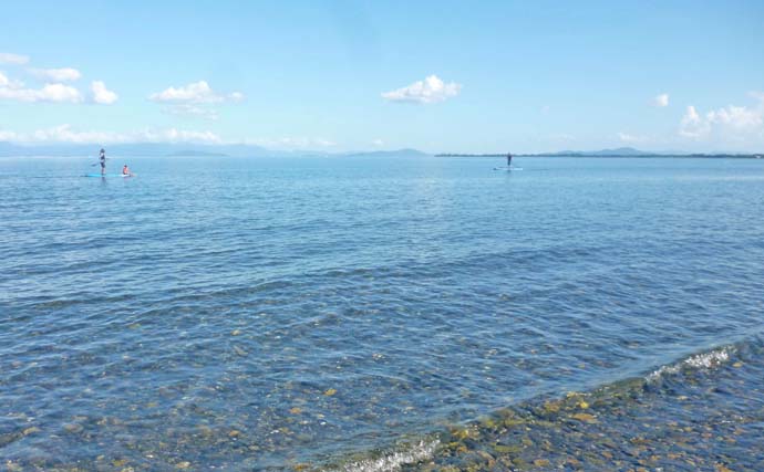 湖西エリアのハスゲームで渇水攻略！【滋賀・琵琶湖】つがいでのツインヒットも達成