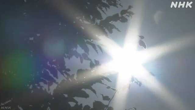 東海３県気温上昇 １６日愛知・三重に熱中症警戒アラート