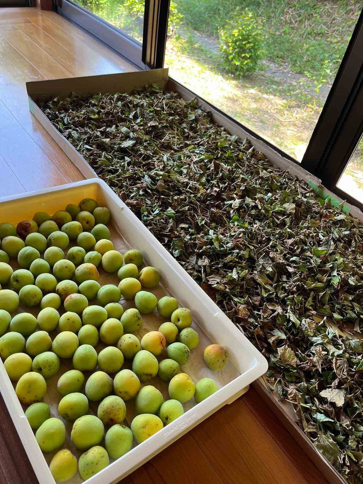 島根県出雲市にオープンしたカフェ『和herb cafe&lab 8mon』のハーブ