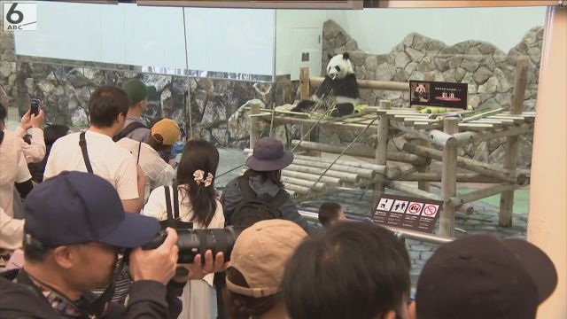 中国返還のパンダ　平日でも４時間待ちの大行列　きょうから“ガラス越し”の公開　アドベンチャーワールド