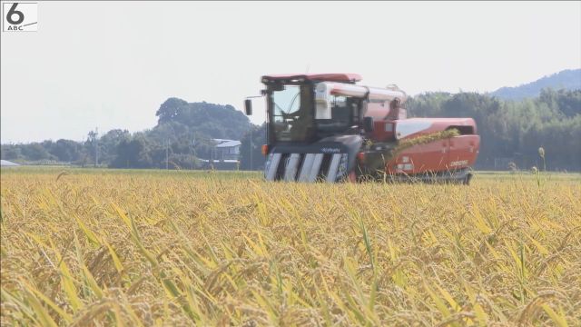 黄金色の稲穂を刈り取り　早場米の収穫始まる　徳島・阿南市
