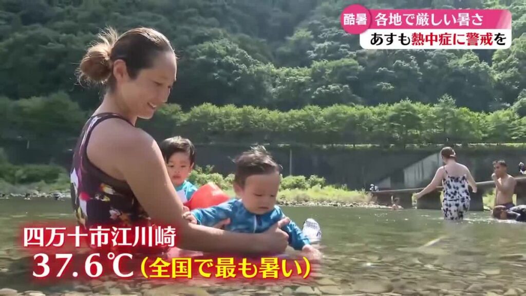 共有
