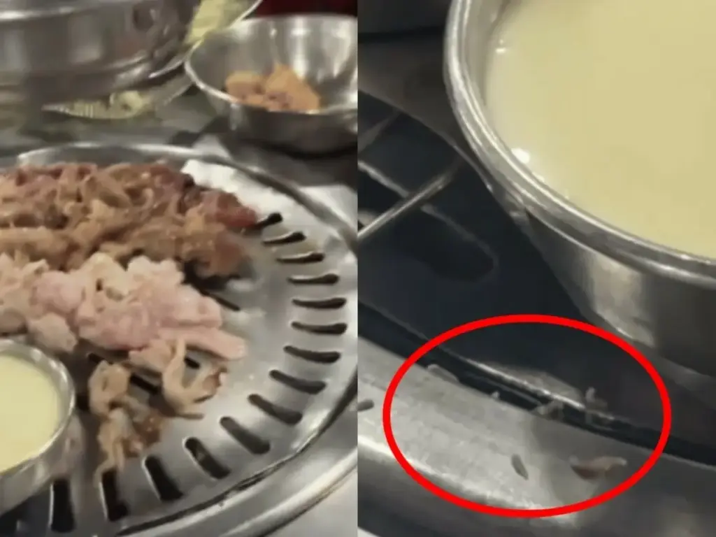 鉄板にうじ虫がうようよする映像…韓国料理のイメージ悪化に飛び火？＝韓国 | wowKorea（ワウコリア）