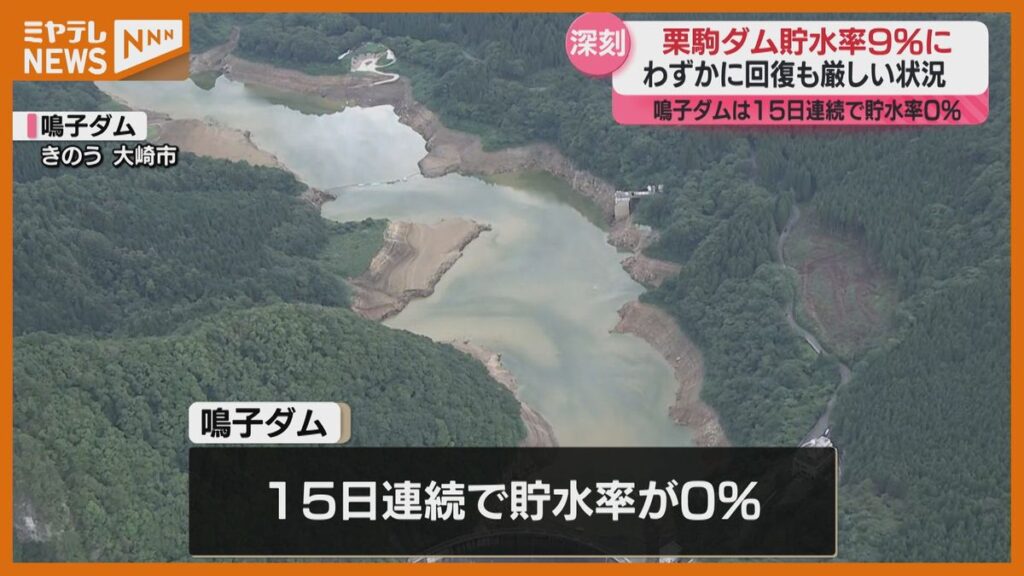 共有