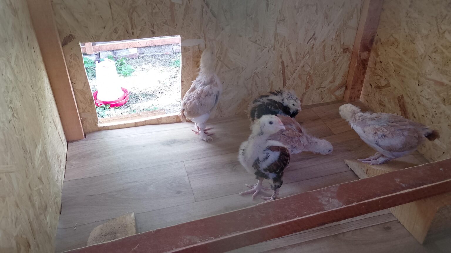 新しい建物1 + kk1m² +庭4m²、彼らの家賃と保釈をいくら撃つべきですか？そして、ティーンエイジャーをルームメイトに連れて行くのは良いことですか？