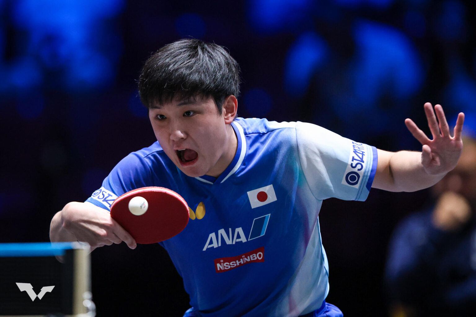 張本智和 パリ五輪代表の18歳ポーランド選手を完封！16強入り【卓球 ヨーロッパスマッシュ】｜テレ東卓球NEWS：テレ東