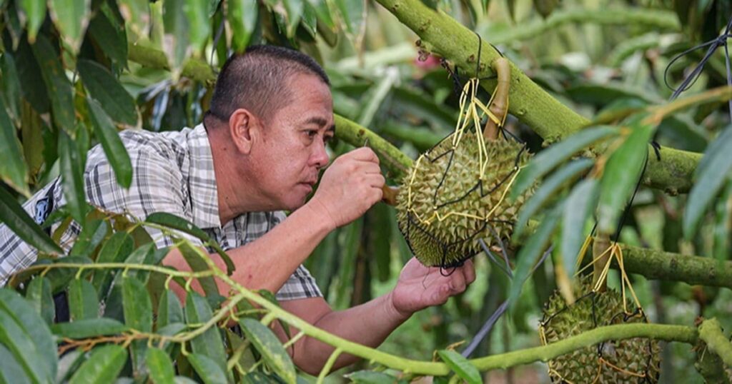 Vietnam.vn - Nền tảng quảng bá Việt Nam