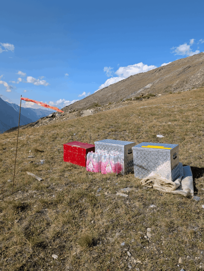 これは何ですか、ZermattのBlauherdからSunneggaへのハイキング中に見た