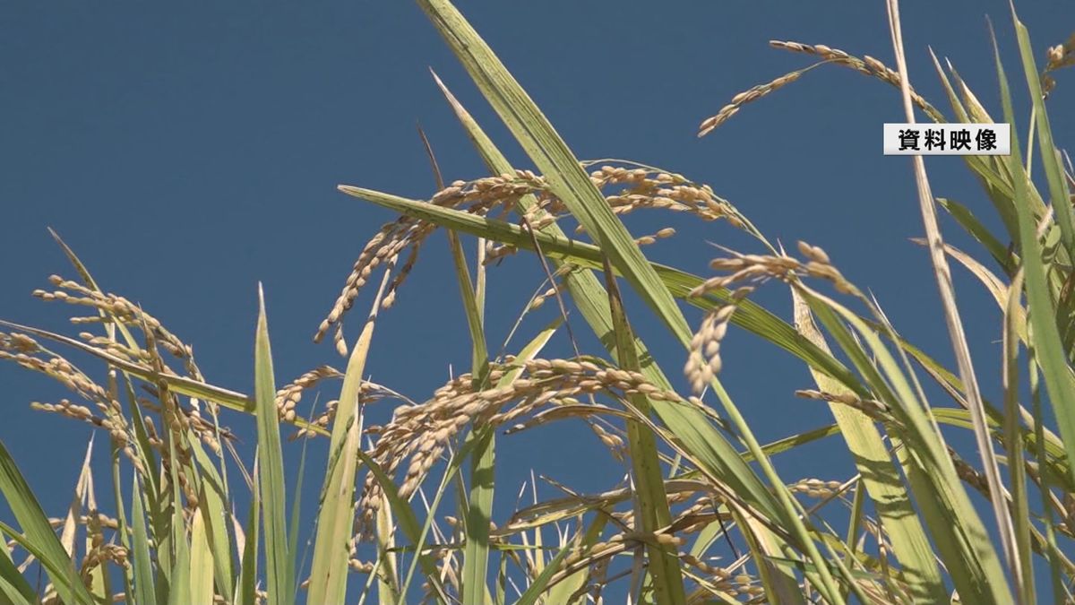 収穫時期を1週間早めるよう呼びかけ　高温続き品質の低下懸念　山形県産米の品質会議