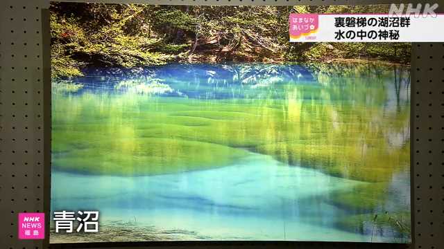 五色沼湖沼群 水中の神秘を写した写真展 福島 北塩原村｜NHK 福島県のニュース