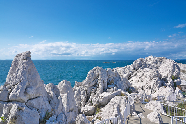 道の駅白崎海洋公園　展望台からの眺望