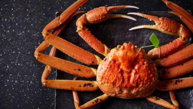 冬の味覚「松葉ガニ」に舌つづみ！兵庫県香美町「さだ助別邸ICHIJO」冬季宿泊予約がスタート | TABIZINE～人生に旅心を～