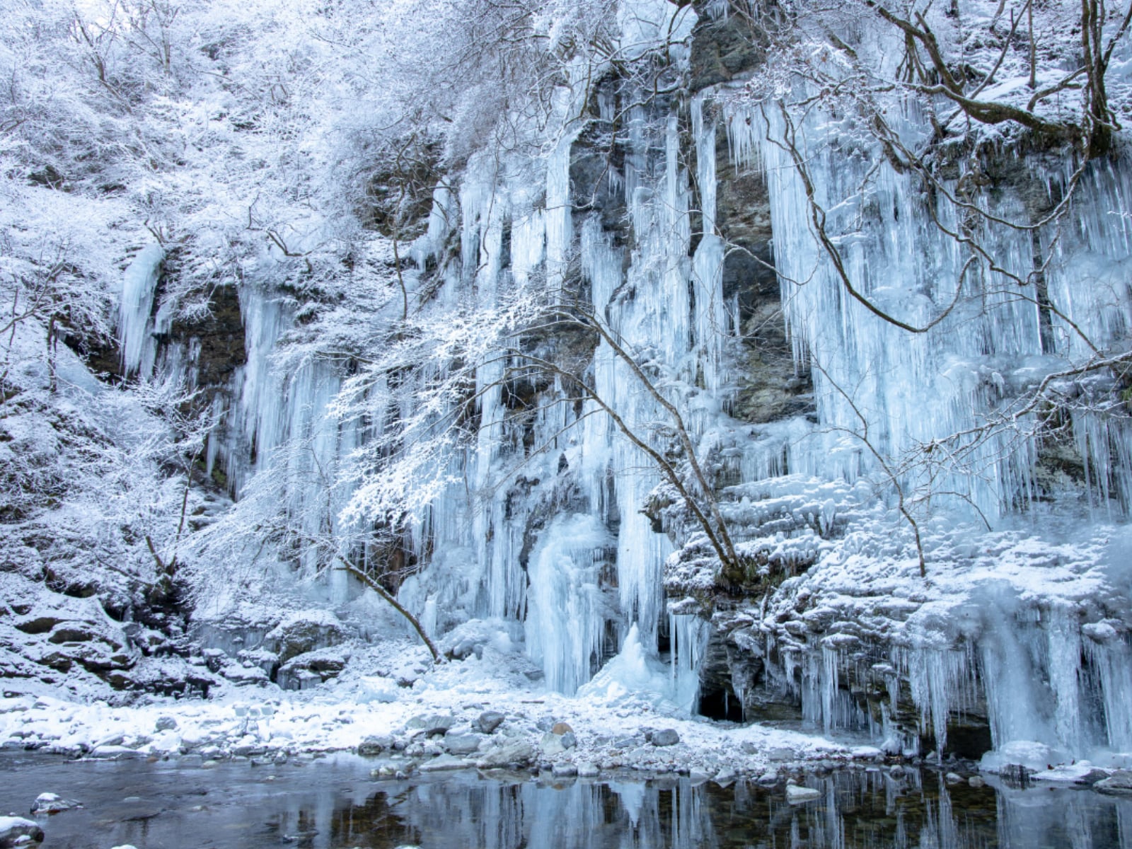 好き＆行ってみたい「埼玉県の絶景スポット」ランキング