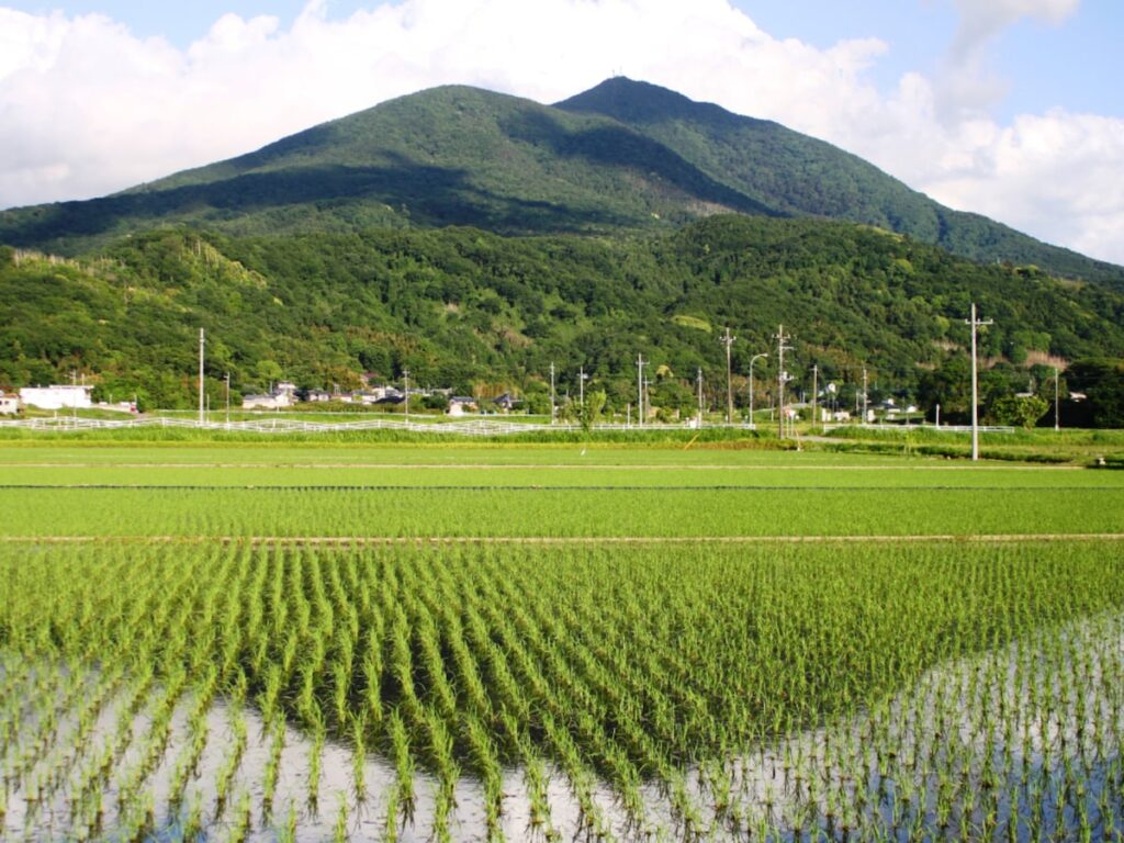 夏に行きたい「茨城県の穴場温泉地」ランキング！ 「筑波山温泉」を大差で抑えた1位は？【2025年調査】 - All About ニュース