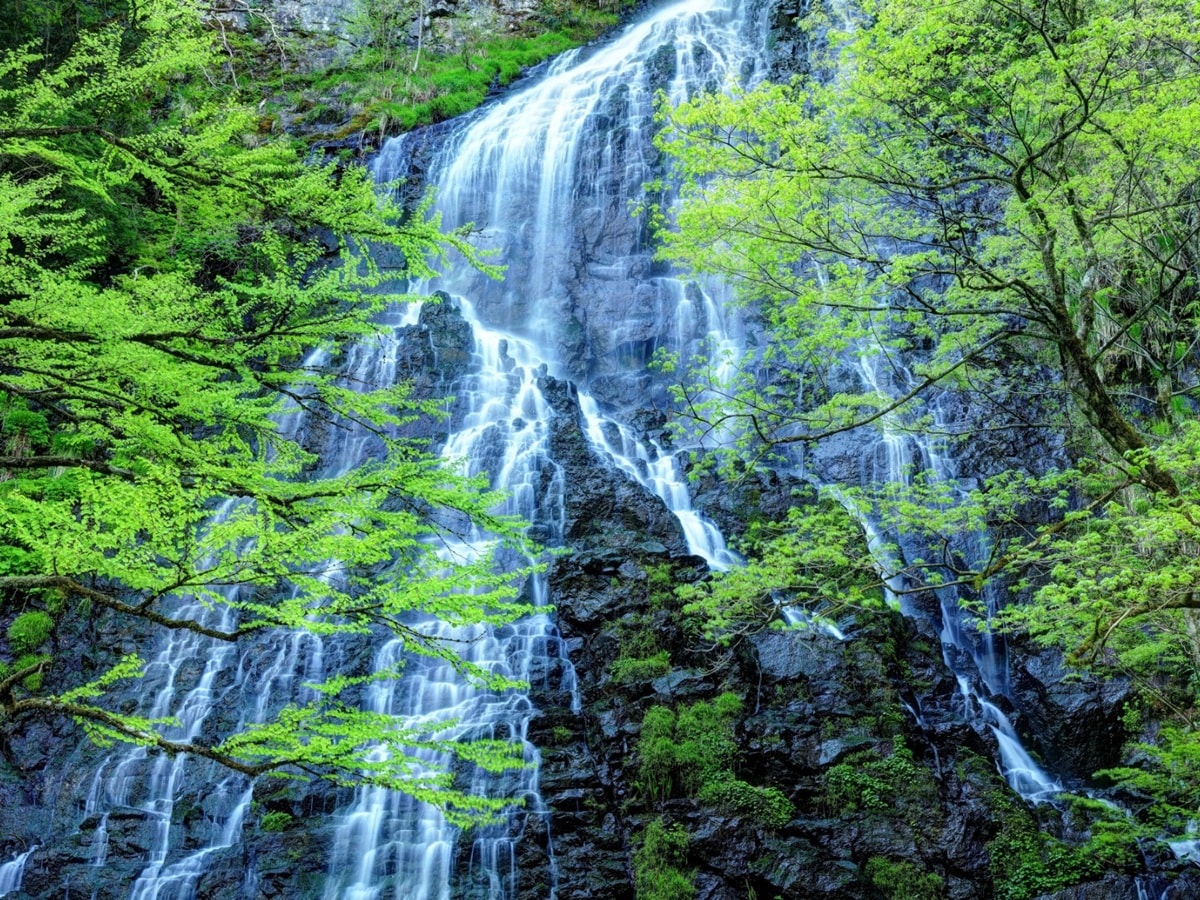 夏に行きたい「福井県の穴場秘境」ランキング