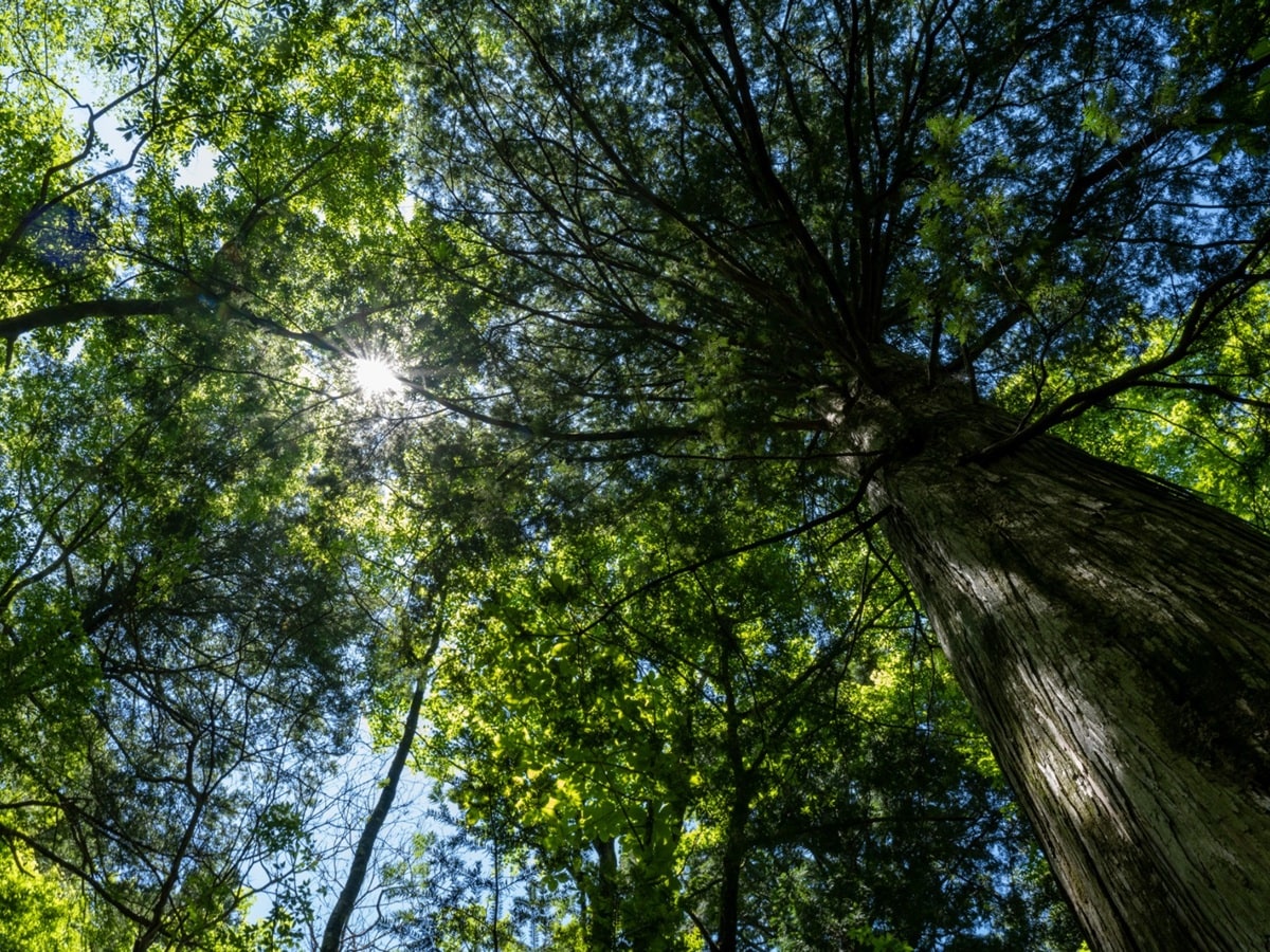 夏に行きたい「愛知県の穴場秘境」ランキング