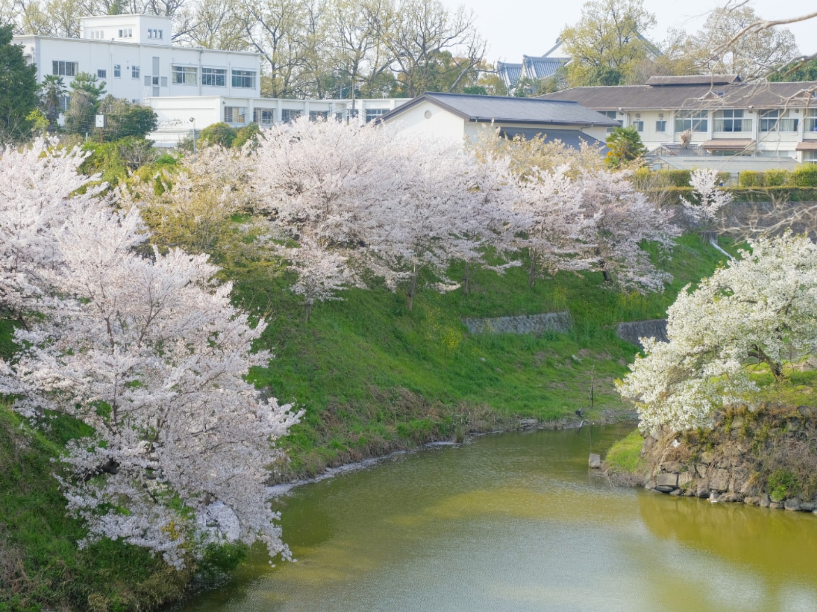 「文武両道だと思う奈良の公立進学校」ランキング