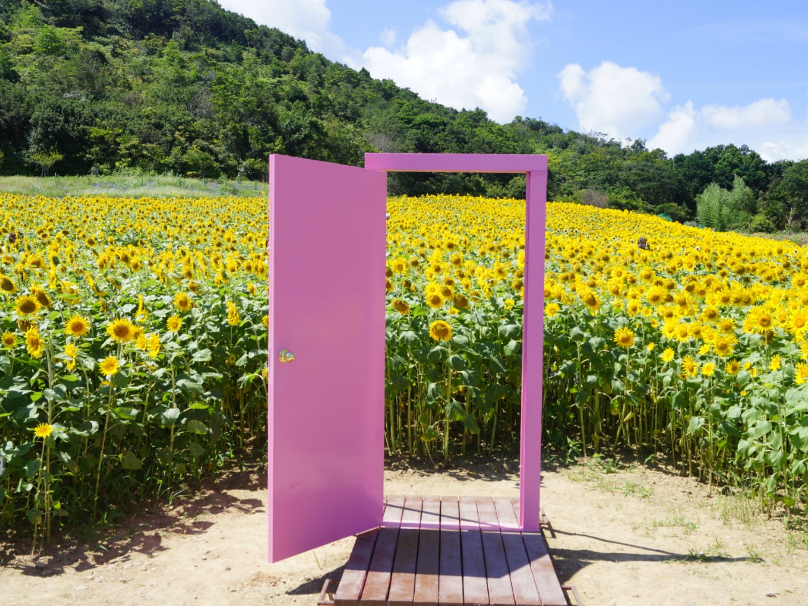 好き＆行ってみたい「三重県の道の駅」ランキング