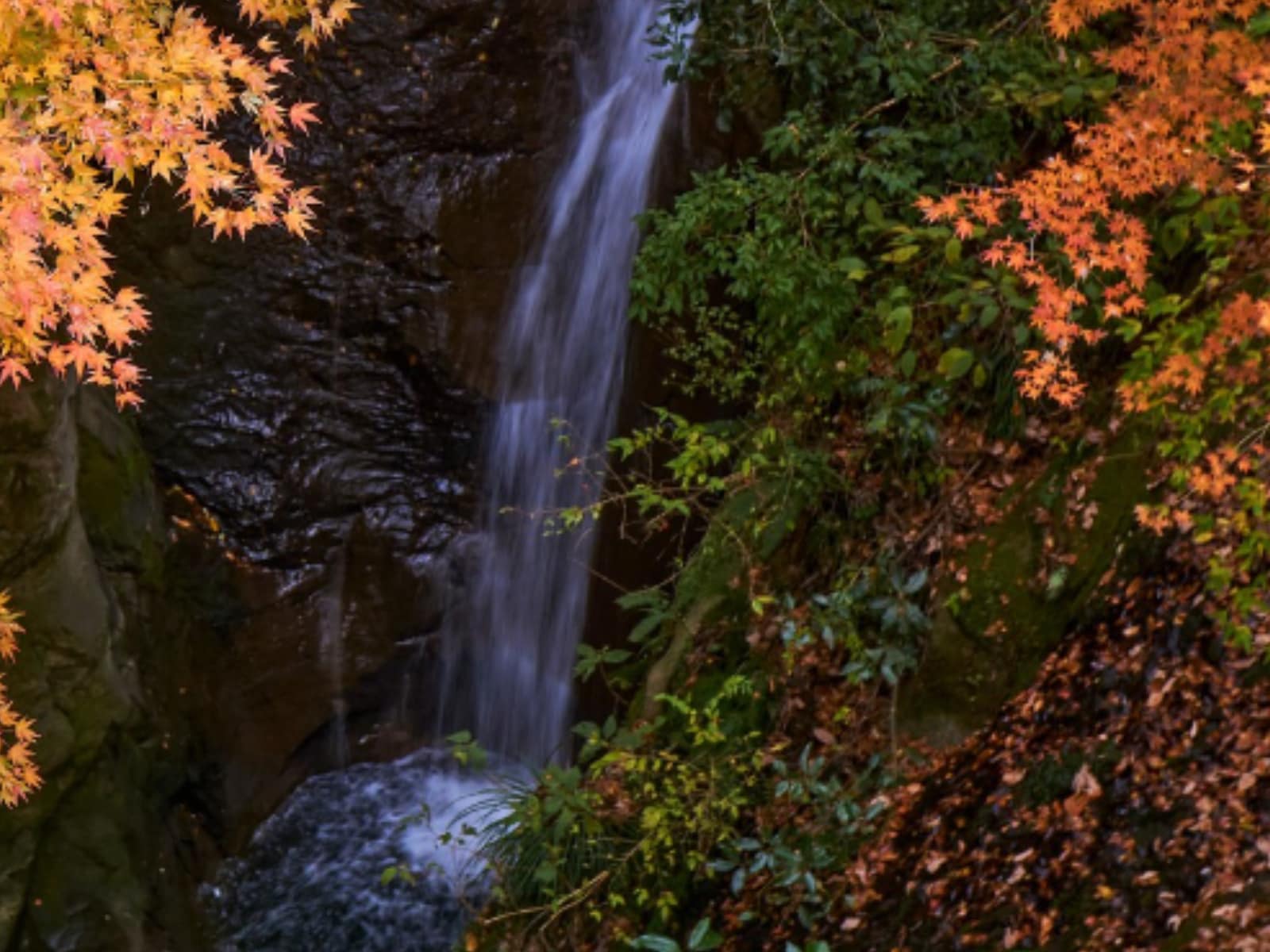 「夏に行きたい滝」ランキング