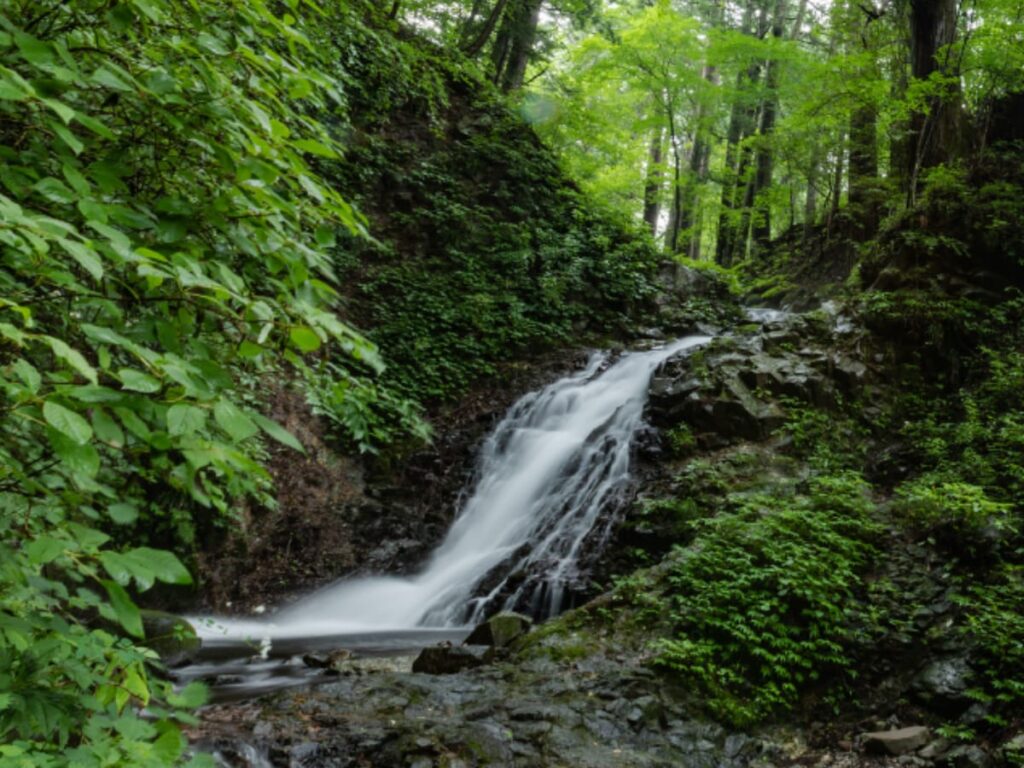 夏に行きたい「栃木県の滝」ランキング！ 2位「白糸の滝」を抑えた圧倒的1位は？【2025年調査】 - All About ニュース
