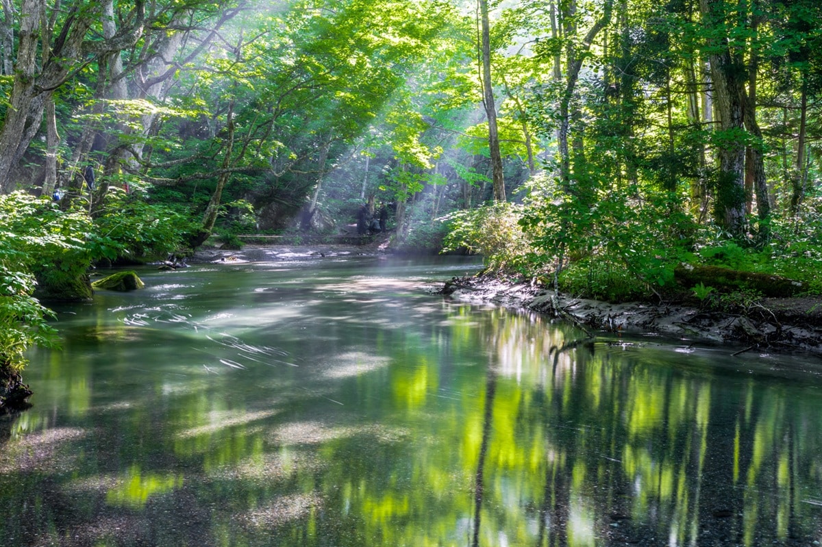 好き＆行ってみたい「青森県の道の駅」ランキング