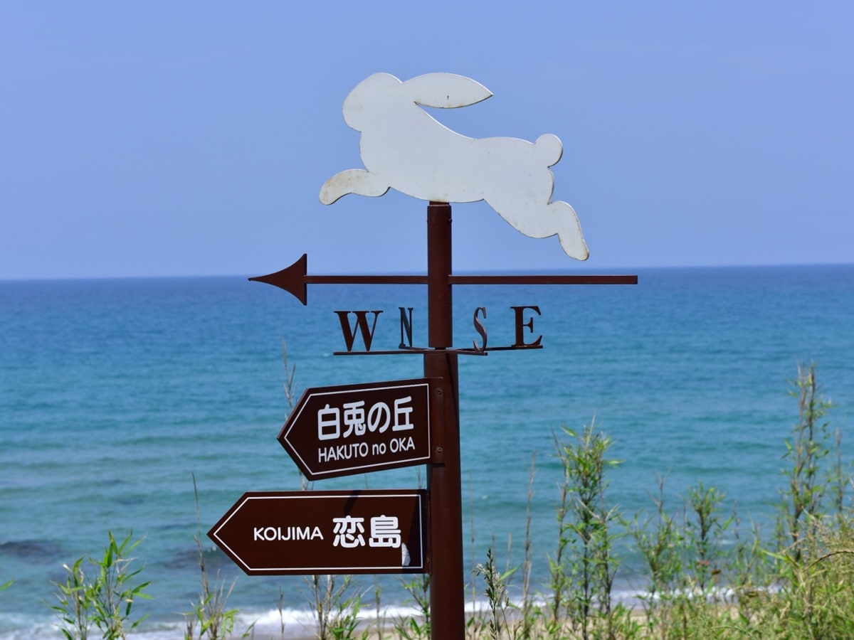 夏に行きたい「鳥取県の絶景ドライブスポット」ランキング