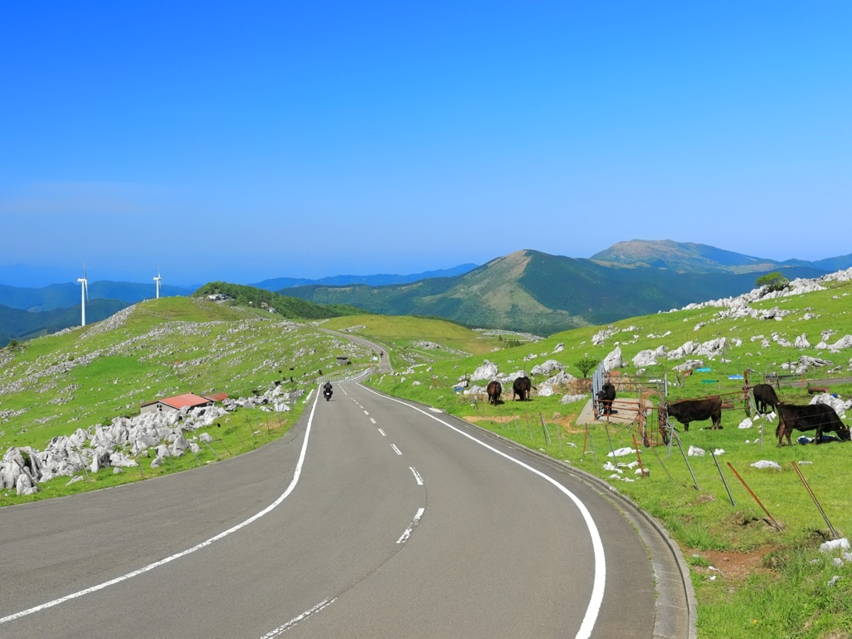 夏に行きたい「愛媛県の絶景ドライブスポット」ランキン
