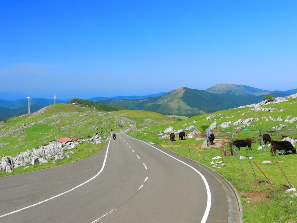 夏に行きたい「愛媛県の絶景ドライブスポット」ランキング! 「四国カルスト公園縦断線」を抑えた1位は? – All About ニュース 夏に行きたい「愛媛県の絶景ドライブスポット」ランキング! 「四国カルスト公園縦断線」を抑えた1位は? - All About ニュース