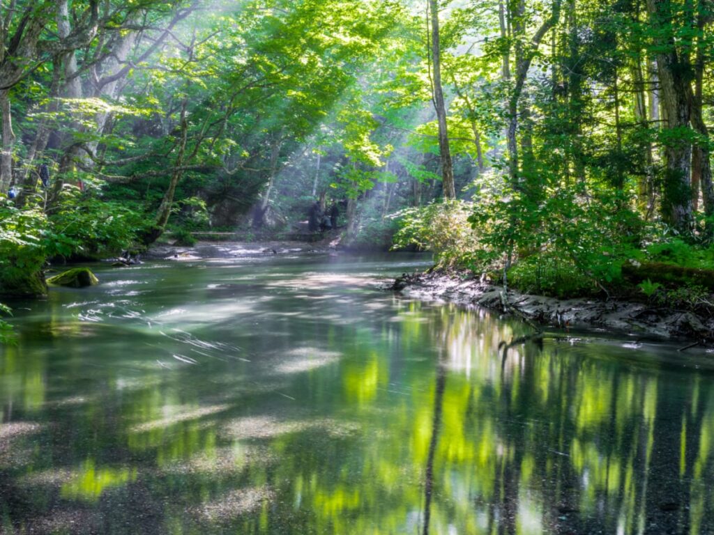 好き＆行ってみたい「青森県の道の駅」ランキング！ 2位「奥入瀬」を抑えた1位は？【2025年調査】 - All About ニュース