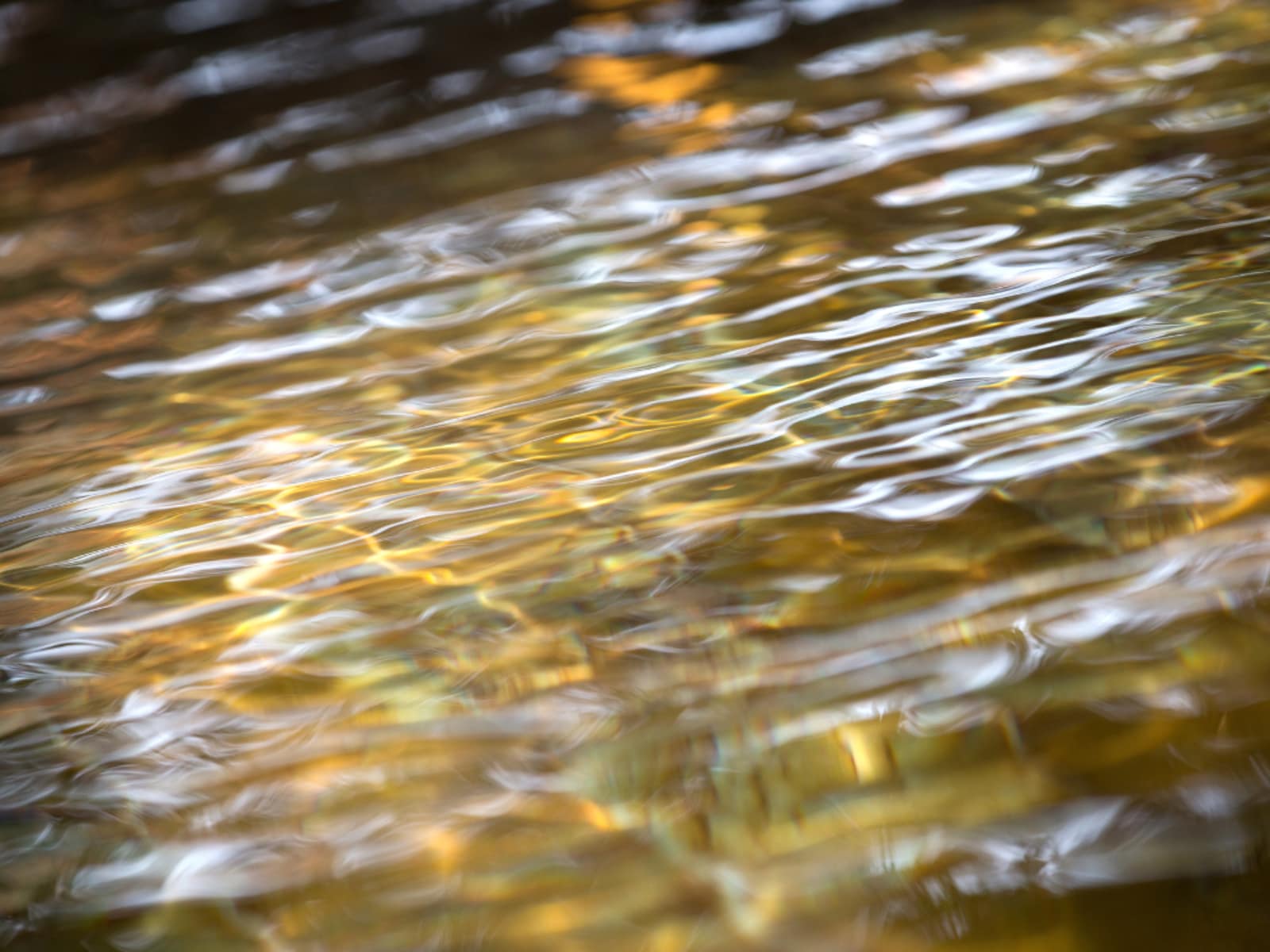 佐賀県で「夏に行きたい穴場の温泉地」ランキング