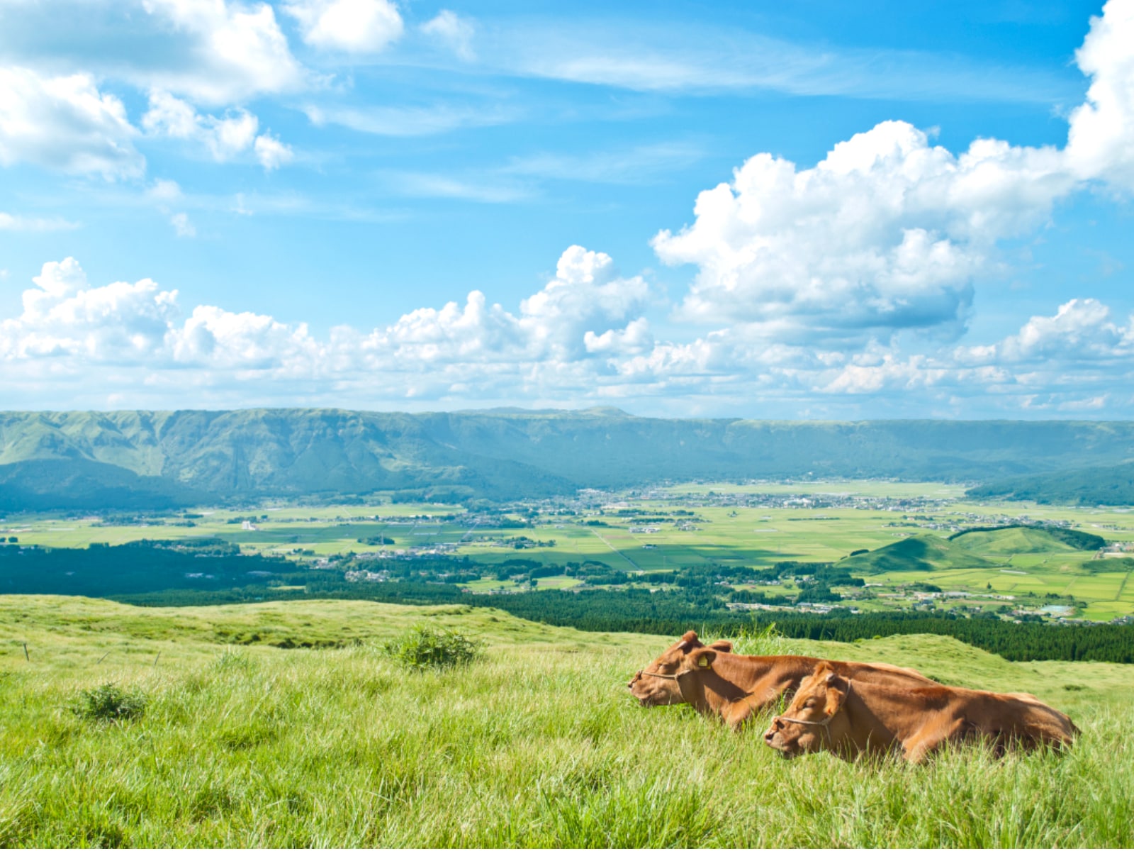 熊本県で「夏に行きたい穴場の温泉地」ランキング