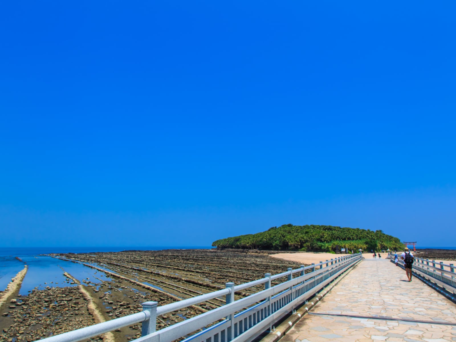 宮崎県で「夏に行きたい穴場の温泉地」ランキング
