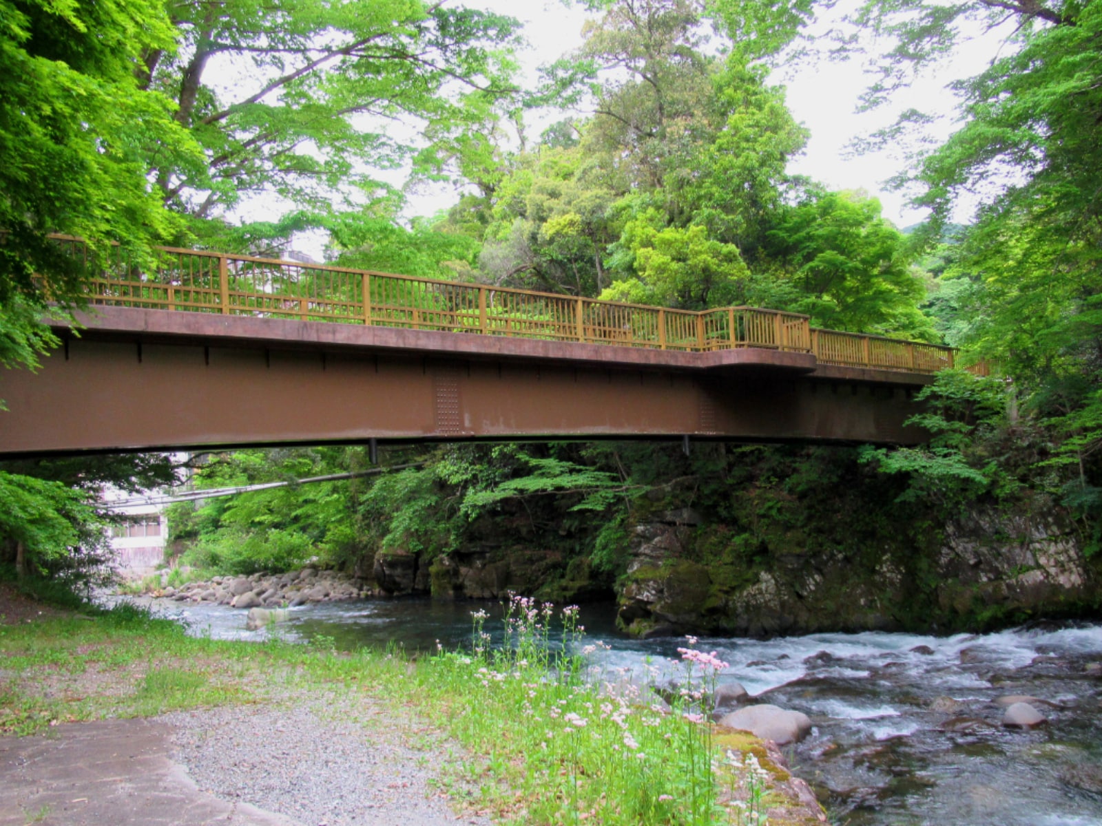 「静岡県で“夏に行きたい穴場の温泉地”」ランキング