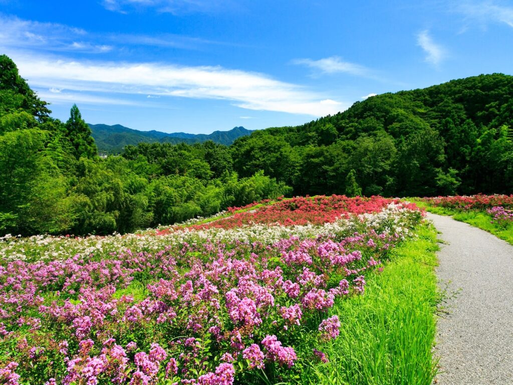 好き＆行ってみたい「埼玉県の森林浴スポット」ランキング！ 2位「秩父ミューズパーク」、1位は？【2025年調査】 - All About ニュース