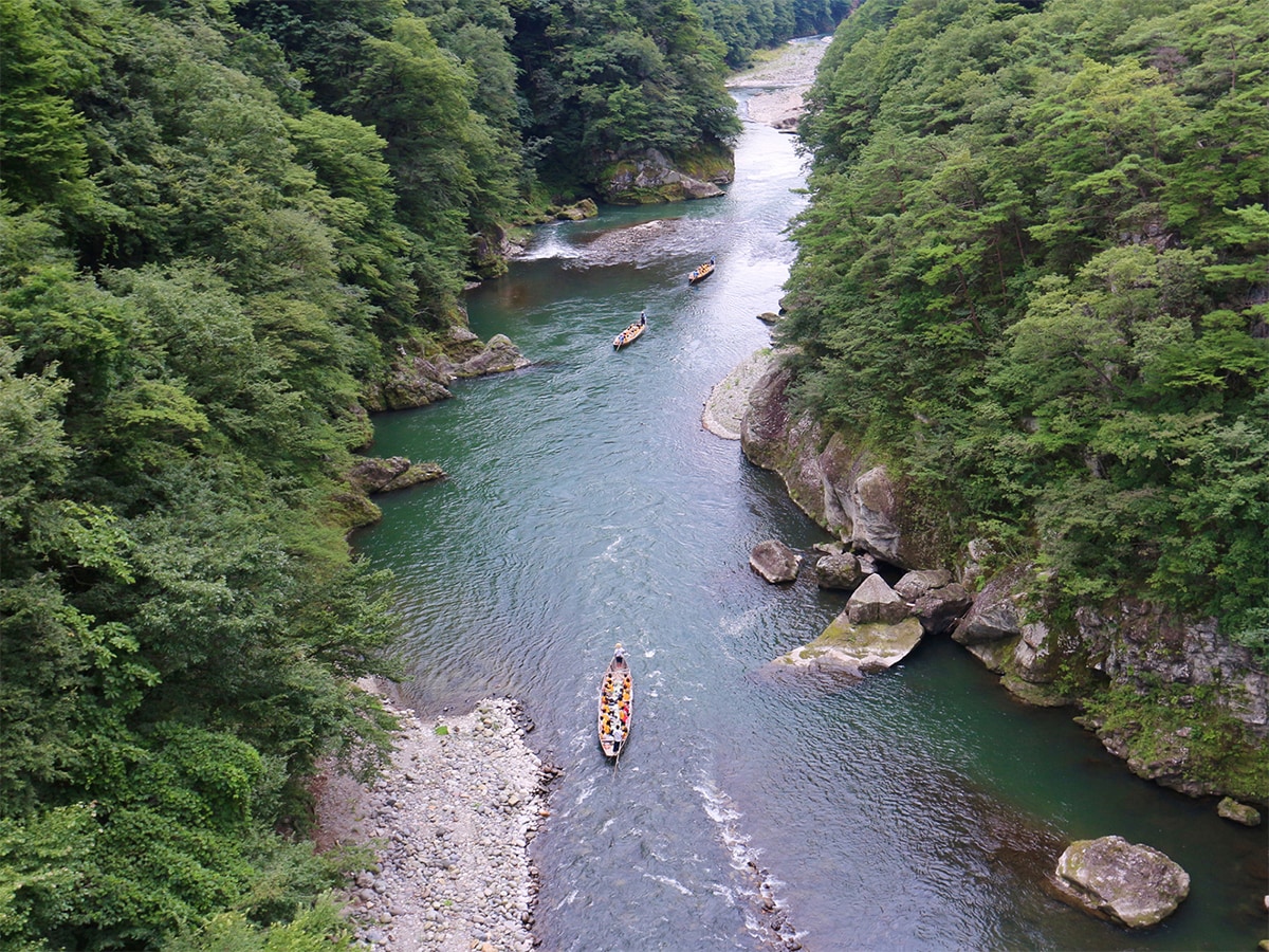「栃木県の森林浴スポット」ランキング