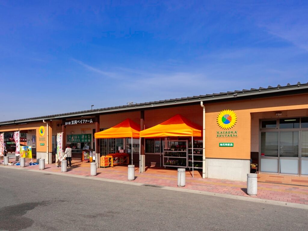 好き＆行ってみたい「岡山県の道の駅」ランキング！ 2位「笠岡ベイファーム」を抑えた1位は？【2025年調査】 - All About ニュース