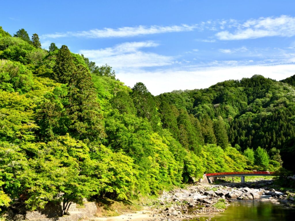 好き＆行ってみたい「愛知県の森林浴スポット」ランキング！ 2位「香嵐渓」を抑えた1位は？【2025年調査】 - All About ニュース